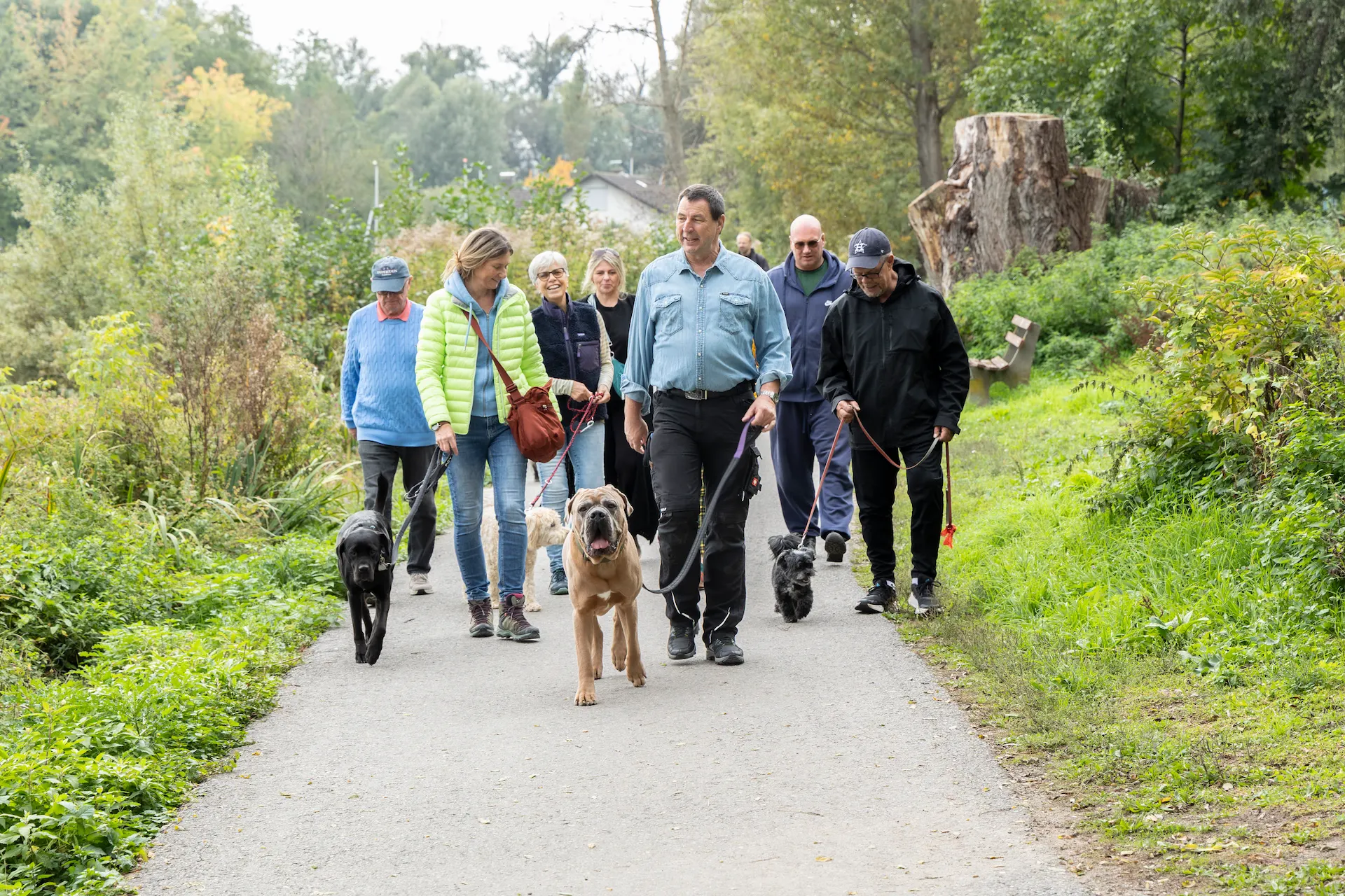 Hundetraining im Alltag mit Thorsten Lapsit